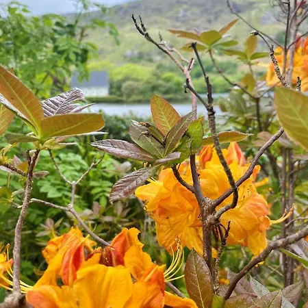 Hotel Gougane Barra 3*