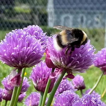 Gougane Barra Hotell Ballingeary