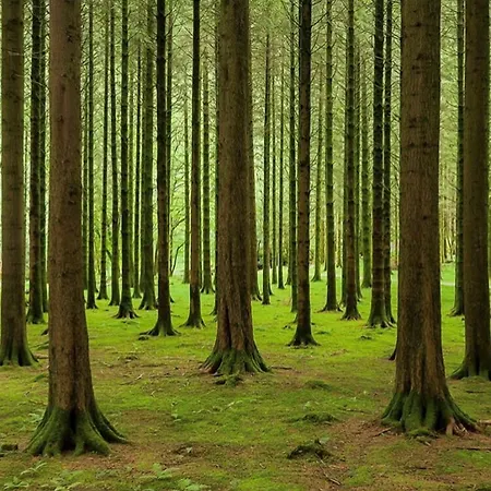 Gougane Barra 3* Ballingeary