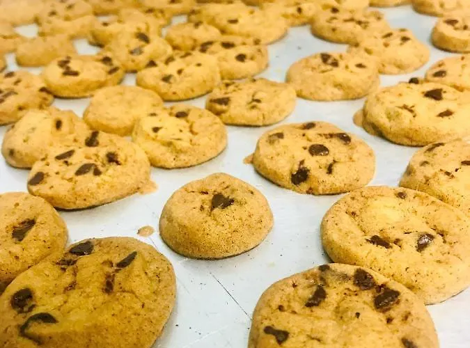 酒店 古迦巴拉酒店 3*