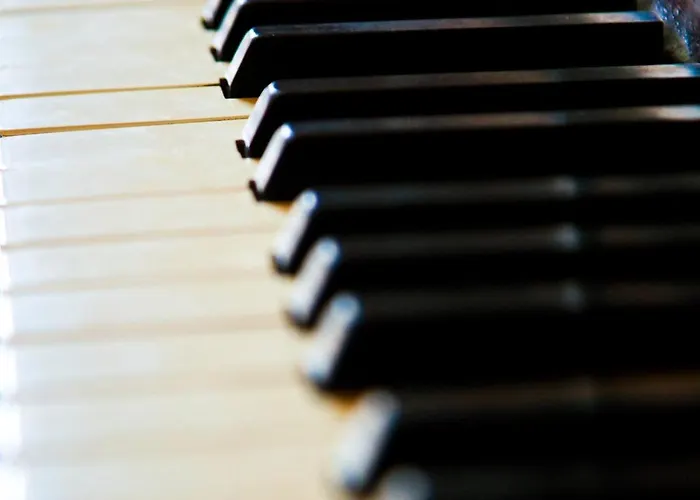 酒店 古迦巴拉酒店