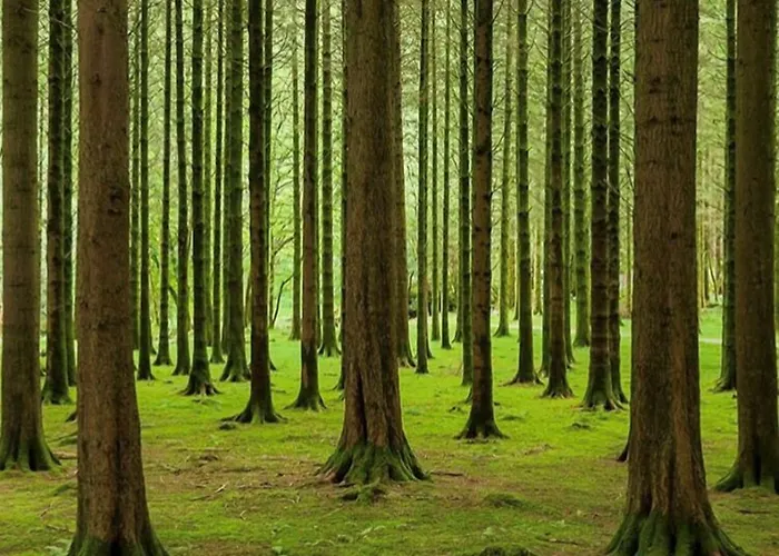 古迦巴拉酒店 3* Ballingeary