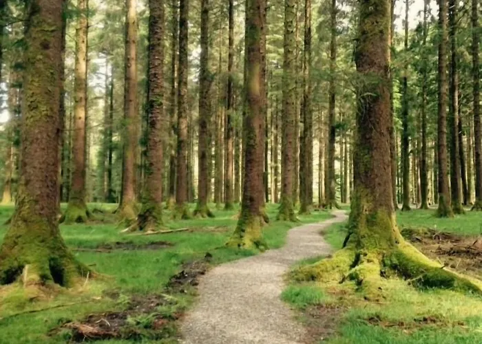 Gougane Barra Отель 3*